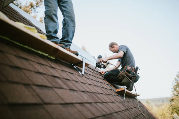 Quick and Trustworthy Emergency Roof Repair Services in Neosho, MO